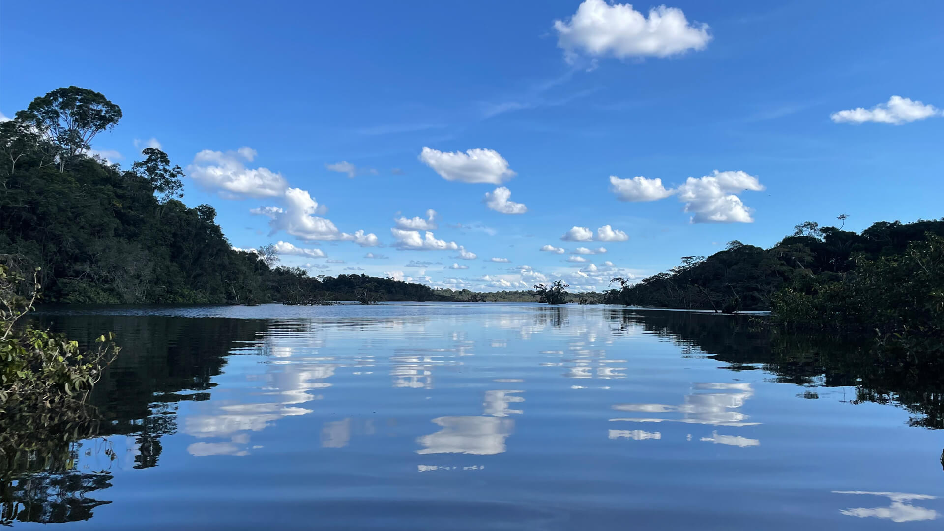 Laguna Grande de Cuyabeno.