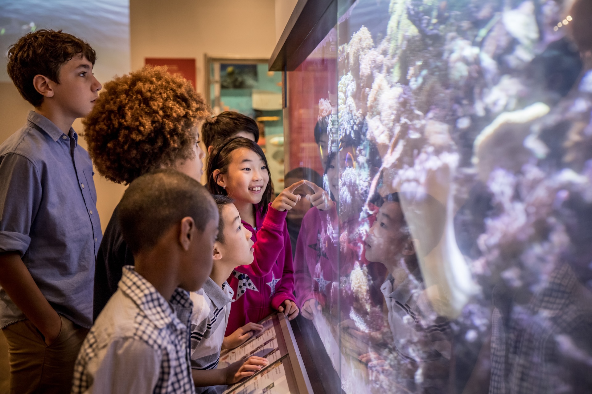 Five children look closely at a large glass display case containing a rock or mineral exhibit.