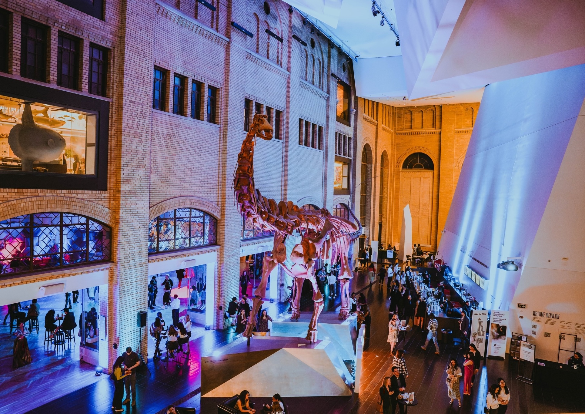 Interior view of a museum hall with visitors, featuring dinosaur skeleton displays and illuminated architectural columns.