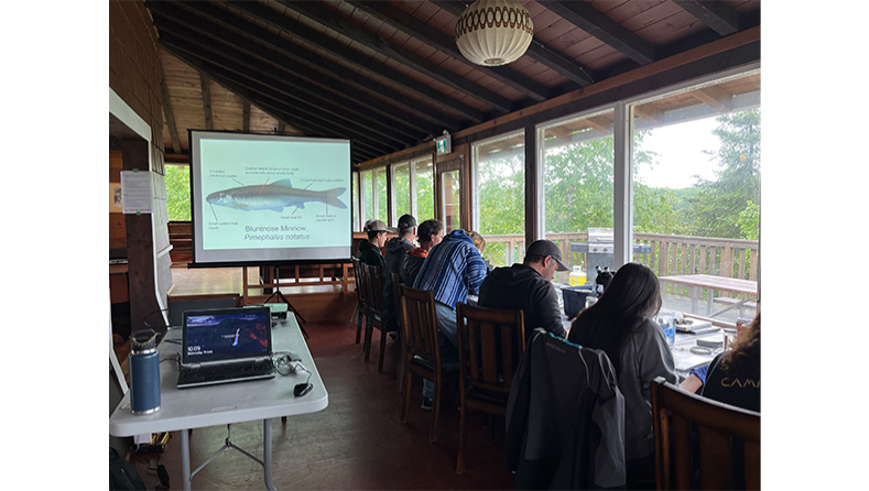Projection sur écran d'un poisson avec des personnes assises à une table en train de travailler