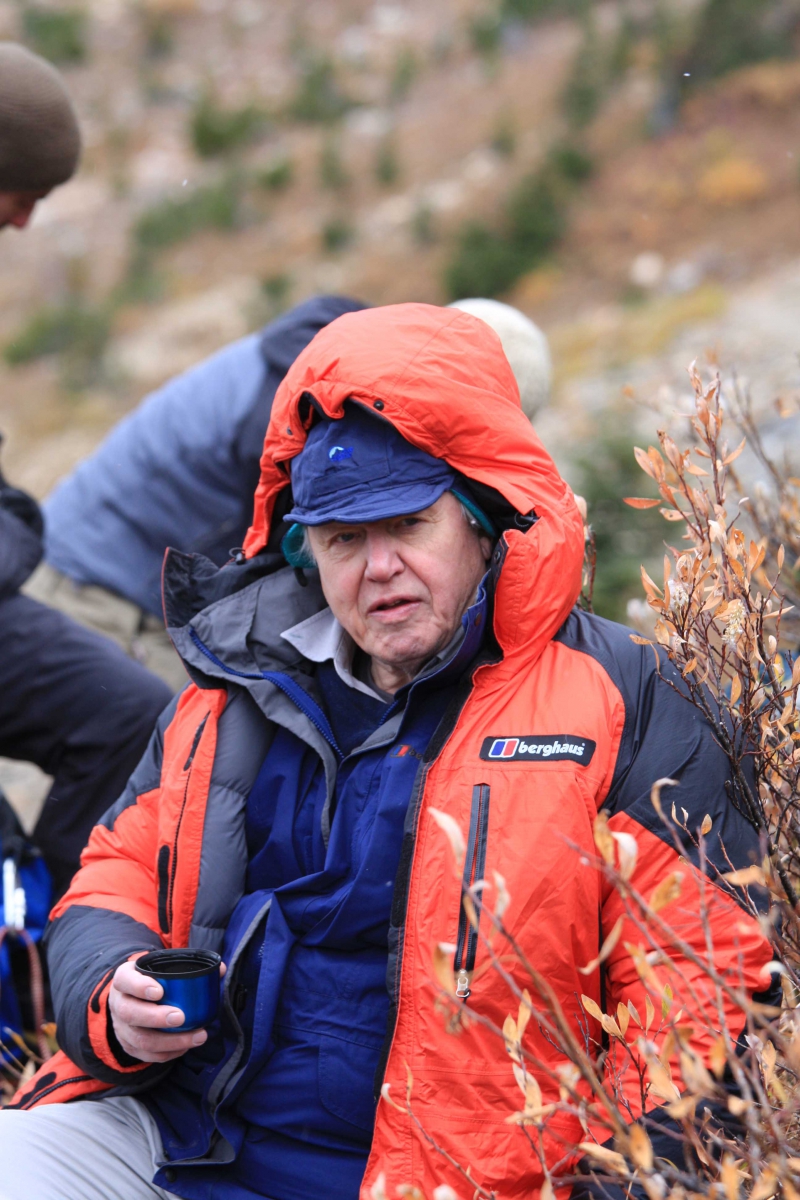 A person in an orange and blue jacket with a hood, wearing a blue cap, sitting outdoors among dry plants.