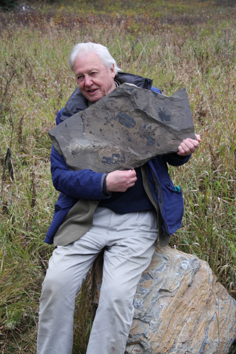 A man wearing a blue jacket and beige pants sits on a rock outdoors, holding a large, irregularly shaped dark rock.