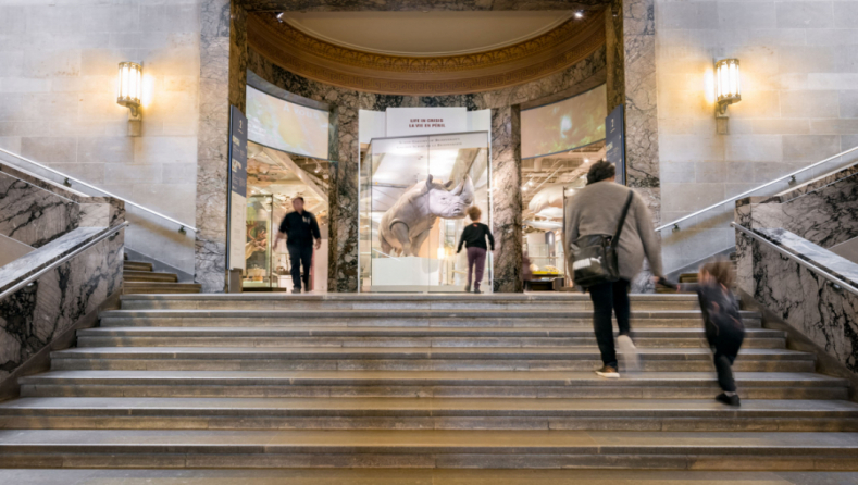 Wide marble staircase inside a grand building with people walking up and down and two ornate wall lamps on either side.