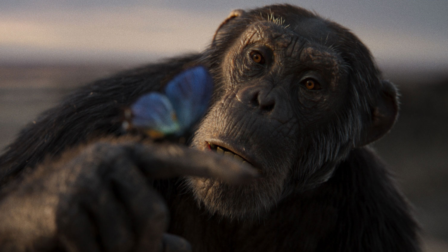 A digitally rendered primate gazes at a blue butterfly perched on its finger.