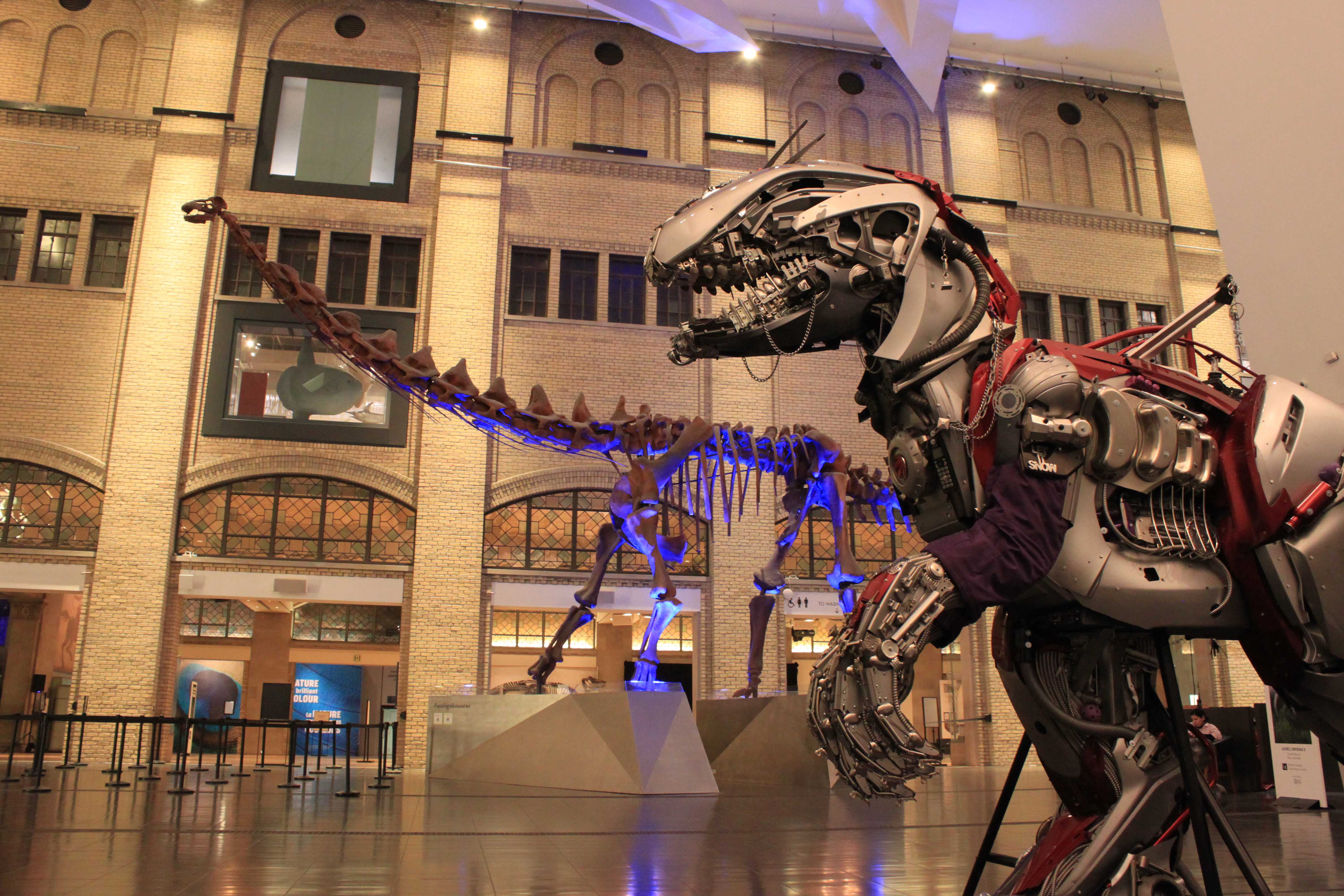 Squelette d'un grand dinosaure exposé dans une salle de musée spacieuse et bien éclairée, dotée de fenêtres cintrées et d'un haut plafond.