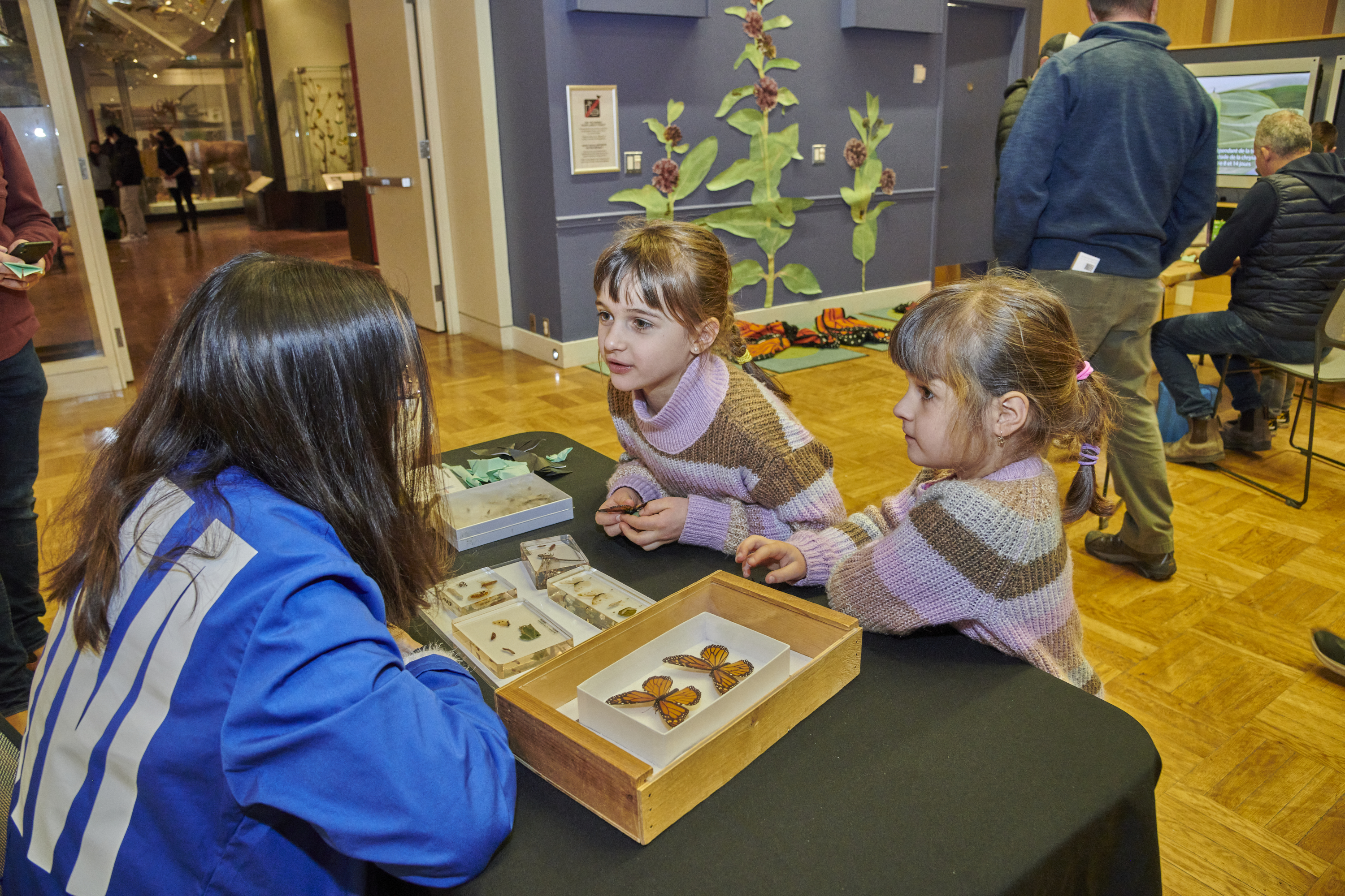 Two children and a ROM volunteer interacting with a tabletop display of butterflies and moths. 