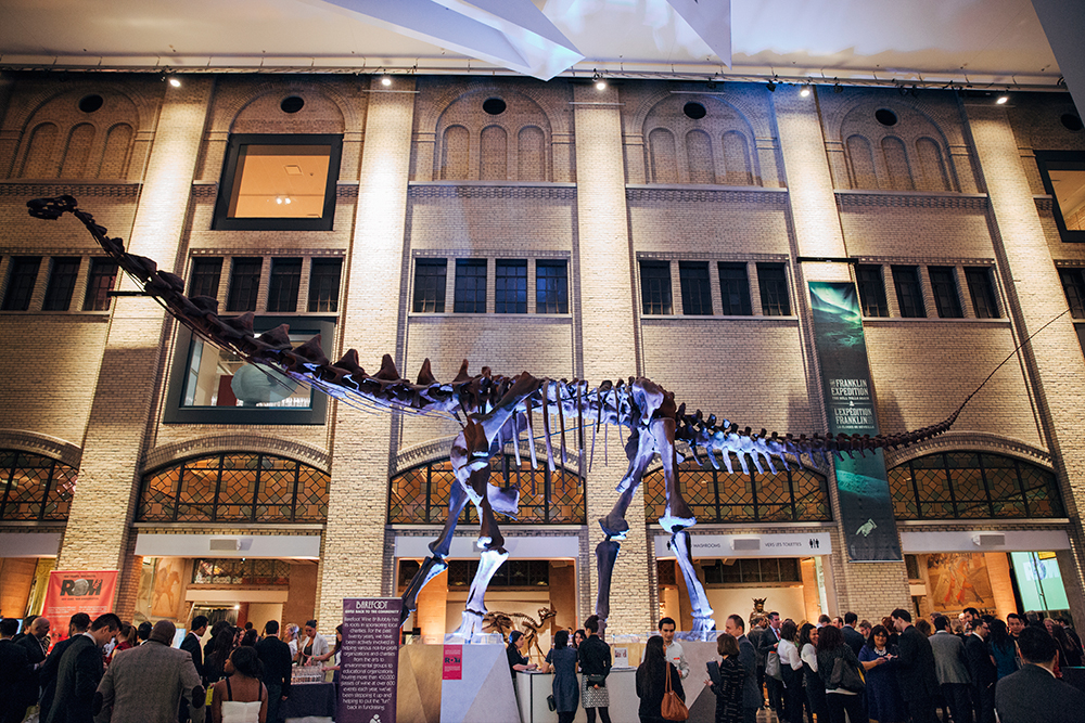 Large dinosaur skeleton displayed in a museum hall with many visitors beneath it.