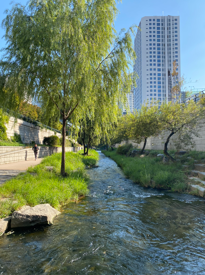 Stream flowing between grassy banks with willow trees and a tall modern building in the background under a blue sky.