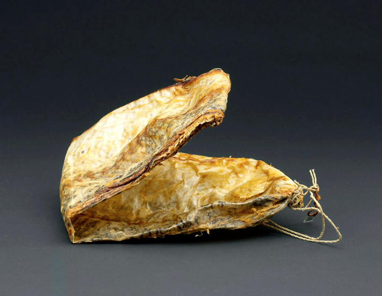 Un sac froissé avec un cordon de serrage et des écailles visibles