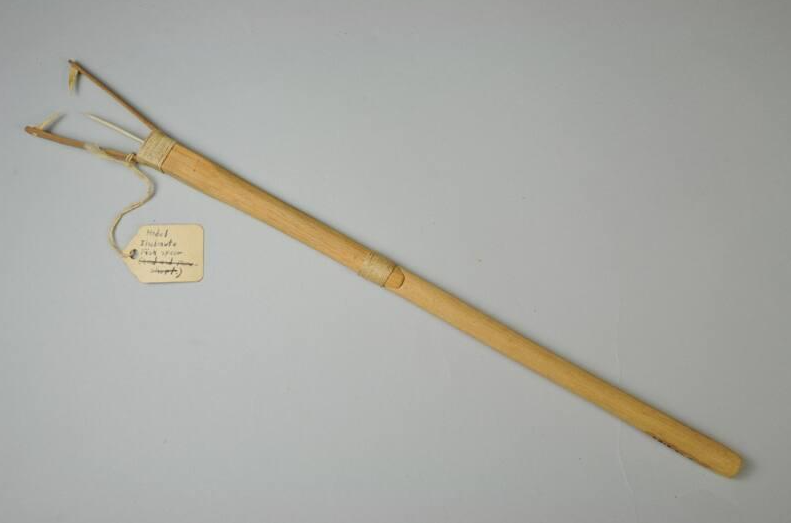 Longue pièce de bois au sommet fourchu présentant un triangle d'épines pointées vers l'intérieur.