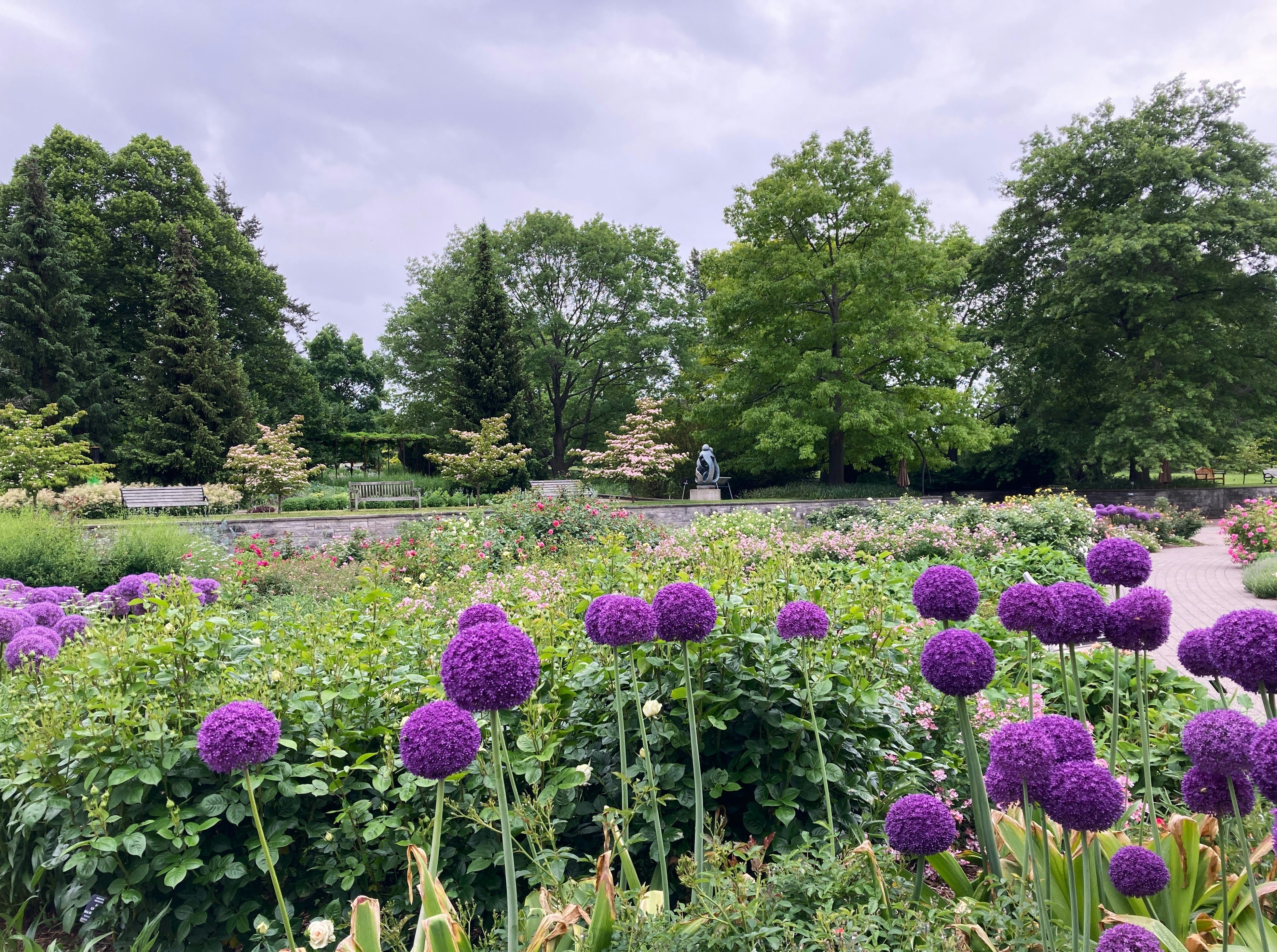 Jardin botanique royal - Hendrie Park