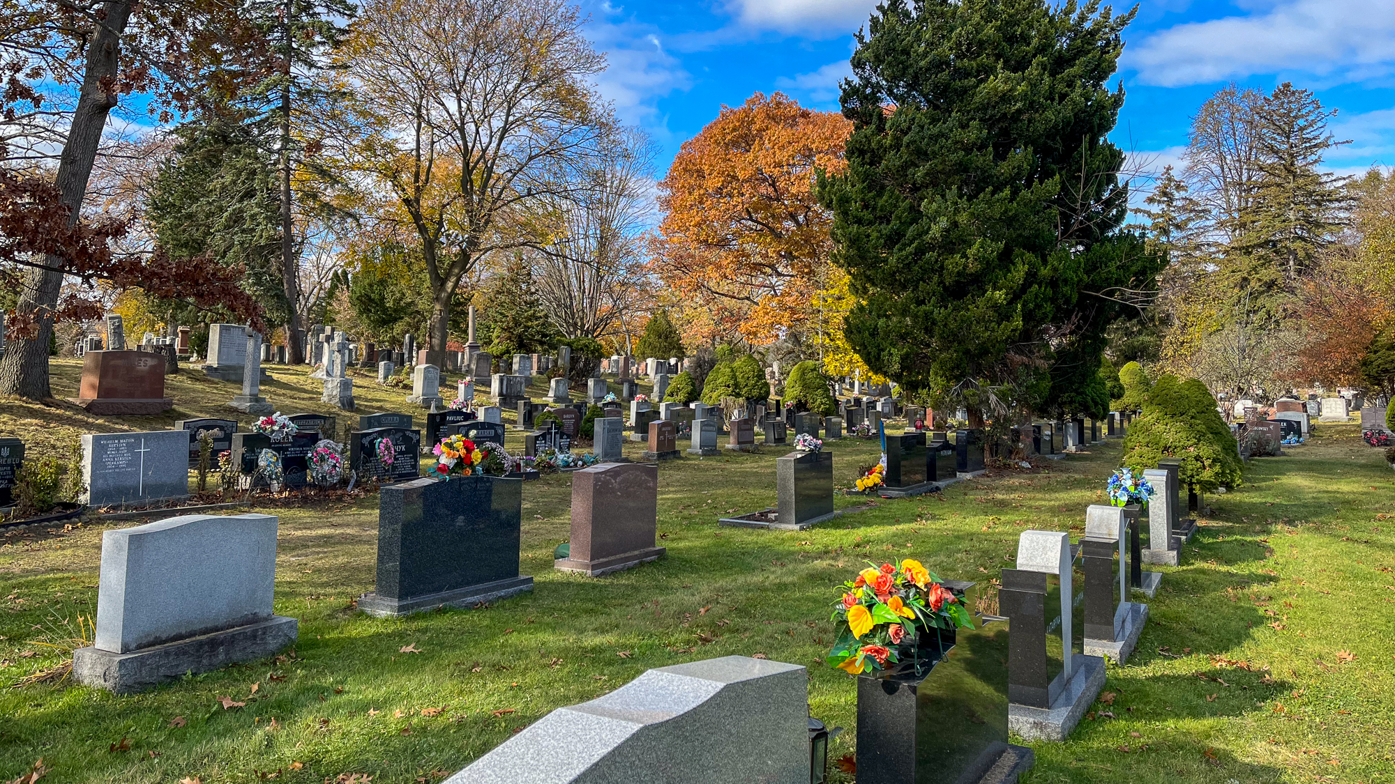 overview of Cemetery