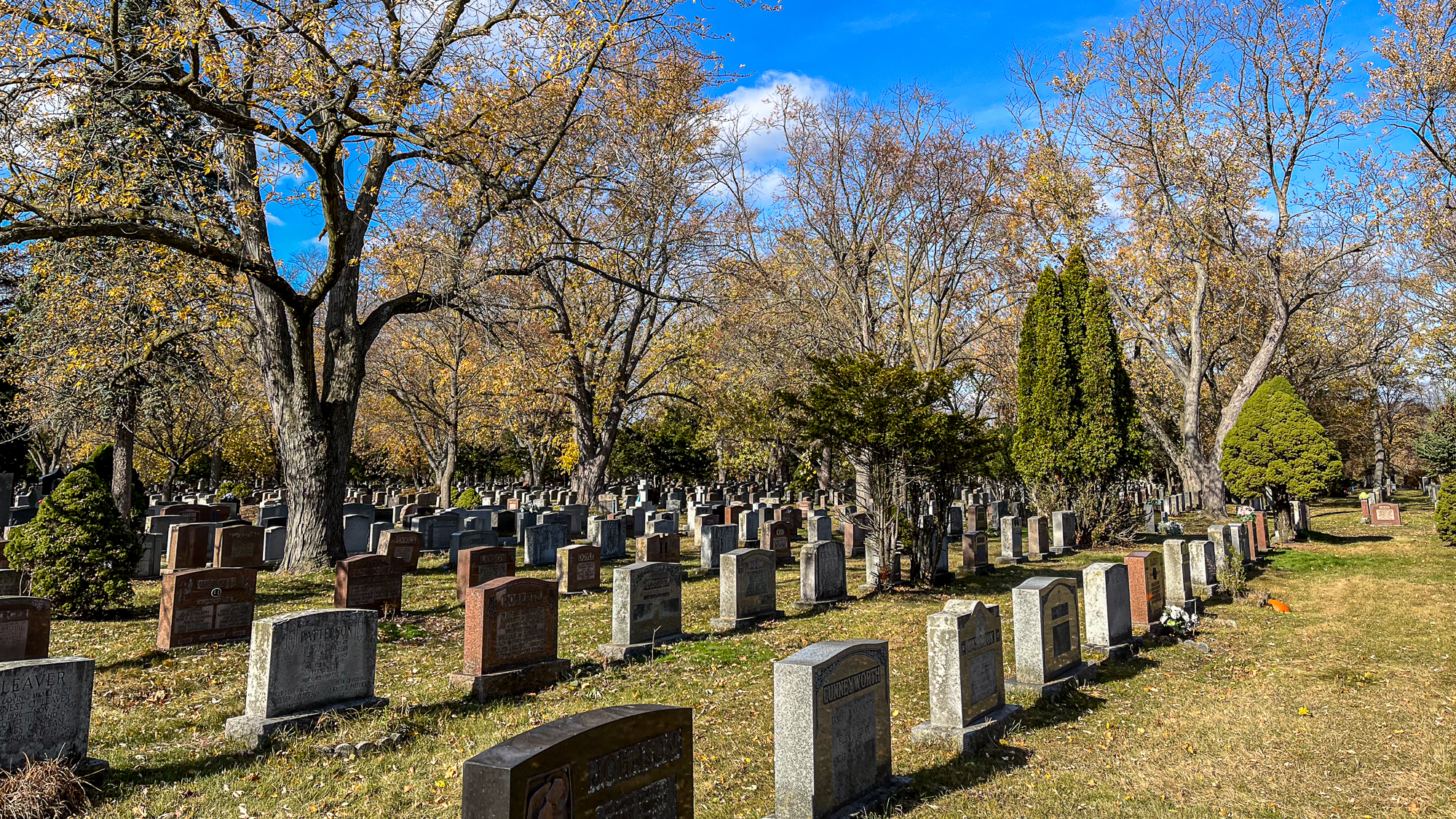 overview of cemetery