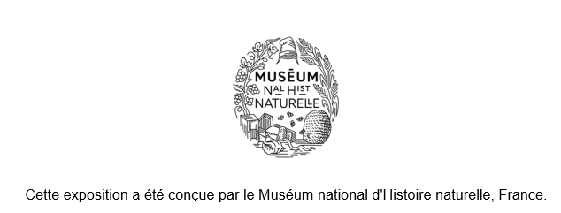 Logo du MNHN