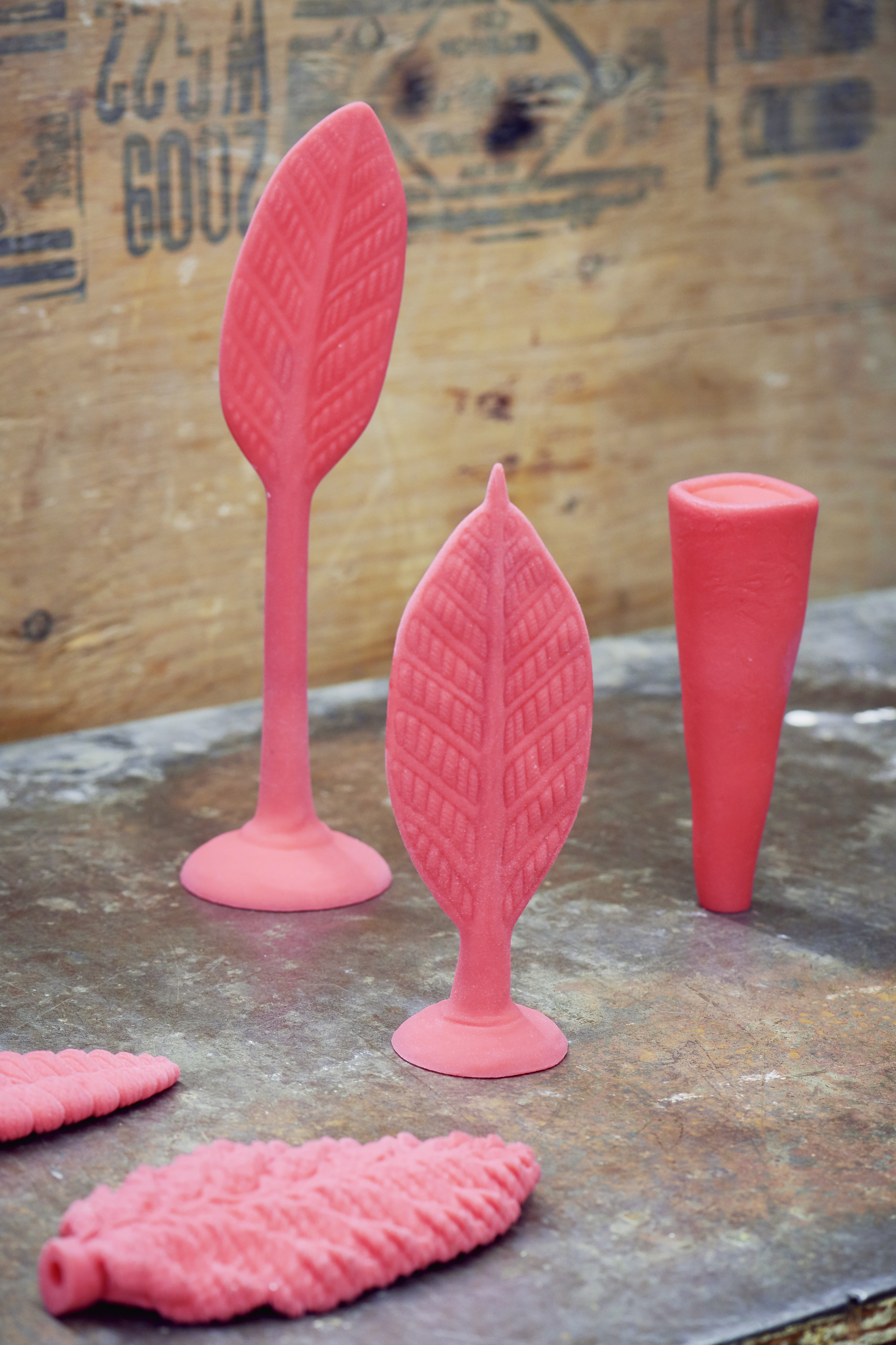 3D printed resin models of multicellular organisms