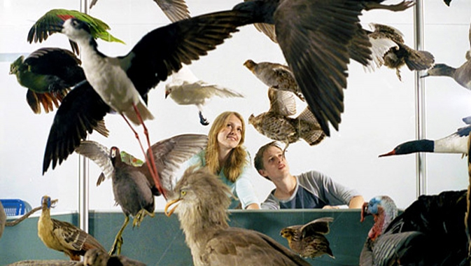 Walk around and under more than 100 specimens.

