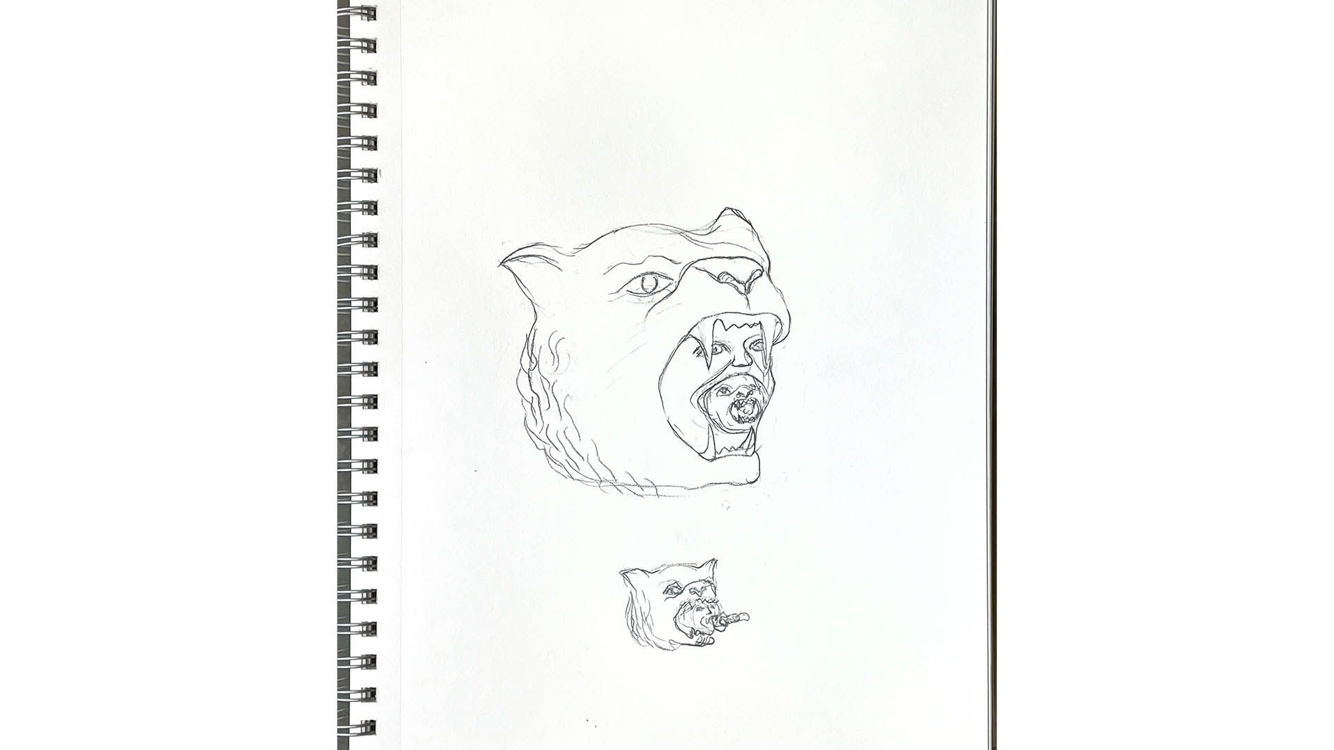 Pencil drawing.