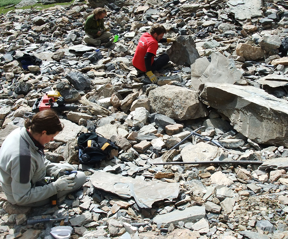 Crew during the ROM’s 2010 fieldwork season examining Burgess Shale type rocks which have tumbled down from the fossil bearing layers higher up on the mountain slopes.