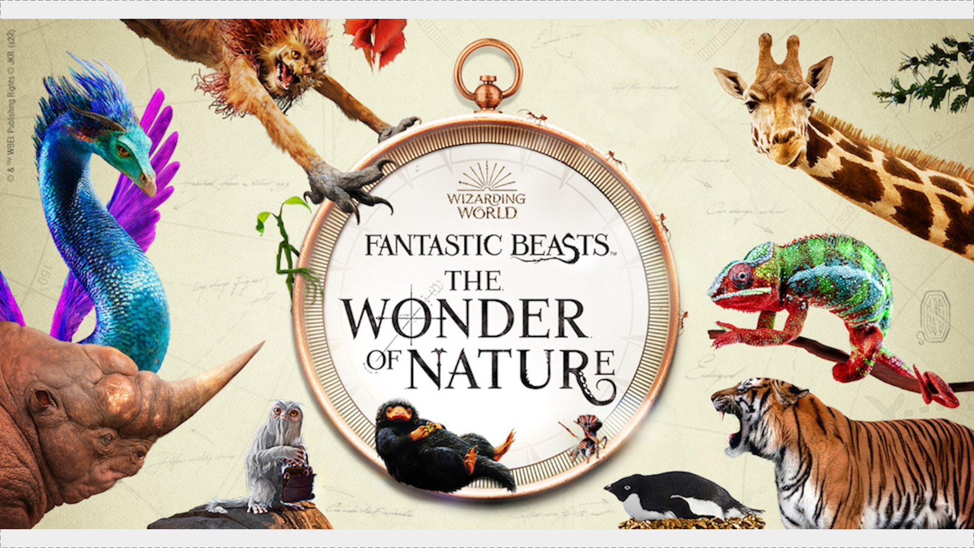 Art principal avec le mot-symbole Fantastic Beasts et divers animaux et bêtes.
