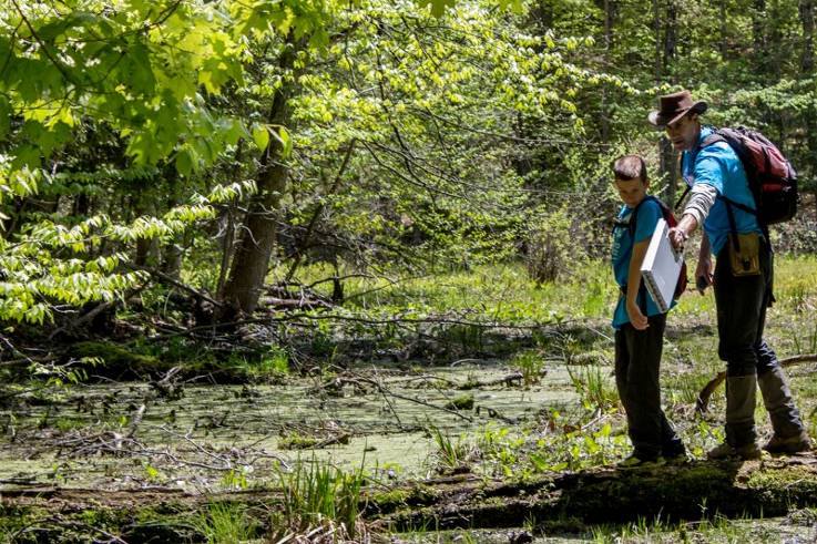 Two people wearing backpacks and hats stand on a wooden boardwalk looking at a forested wetland with green trees and mossy water.