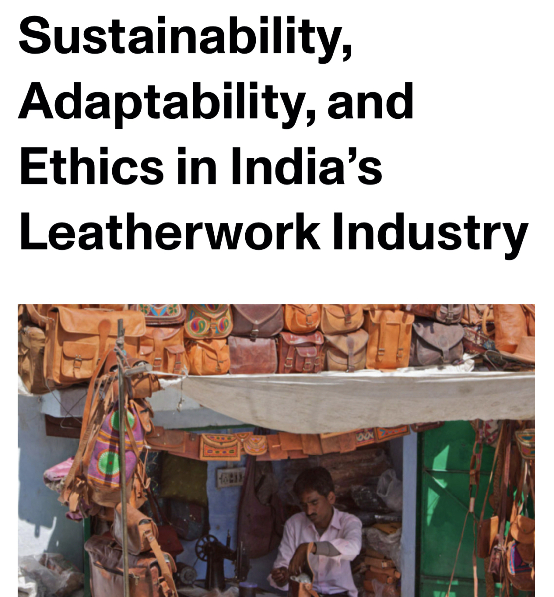 Durabilité, adaptabilité et éthique dans l'industrie indienne du travail du cuir