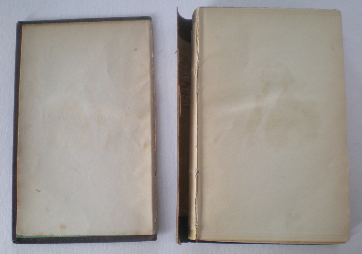 Two closed old books with worn cream-colored covers side by side on a white surface.