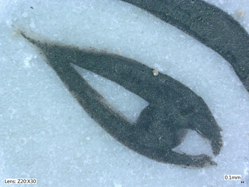 Close-up view of black painted detail on a textured light blue surface.