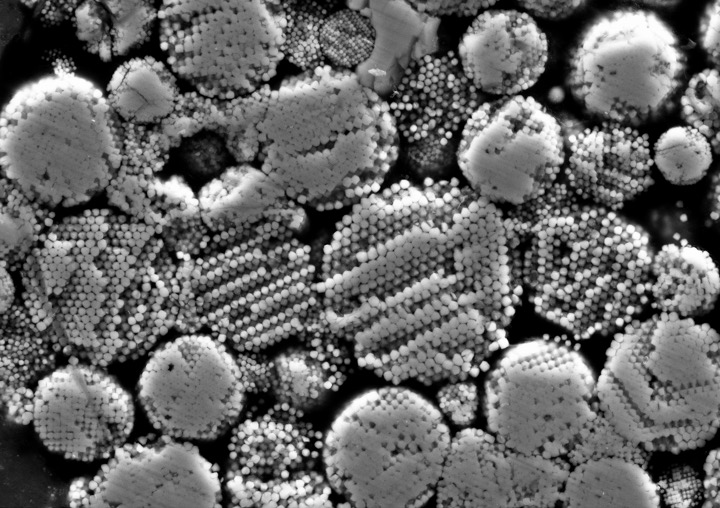 Black and white microscopic image showing various spherical and cylindrical particles with textured surfaces.