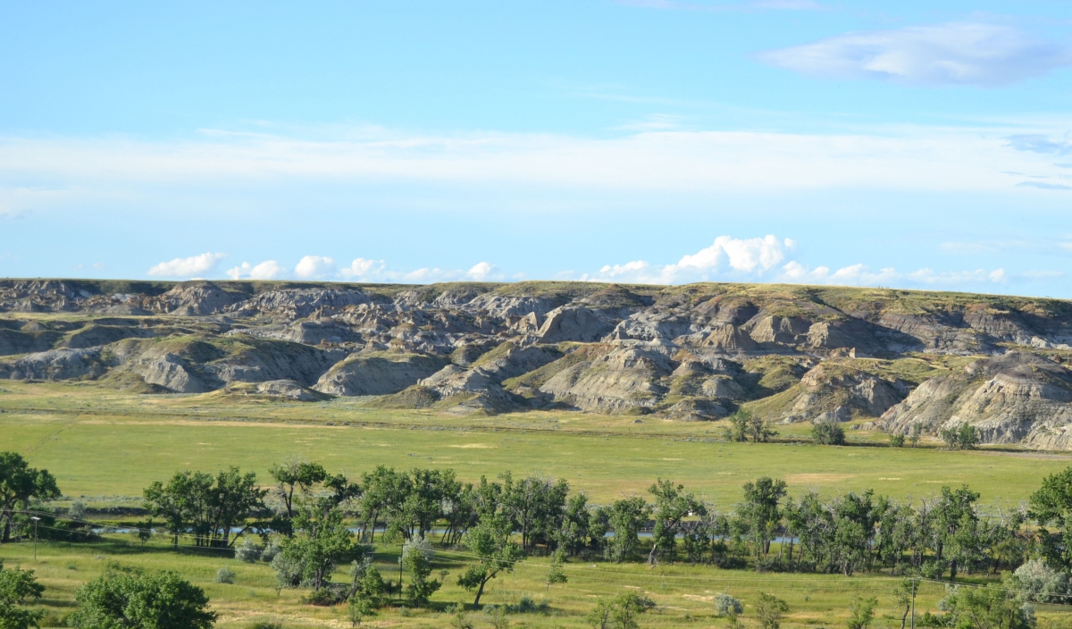 Photo of a hilly green landscape