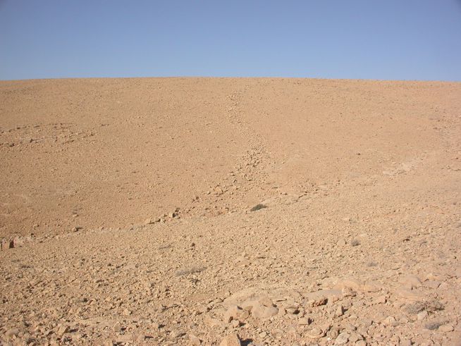 Barren desert landscape with a clear blue sky above.