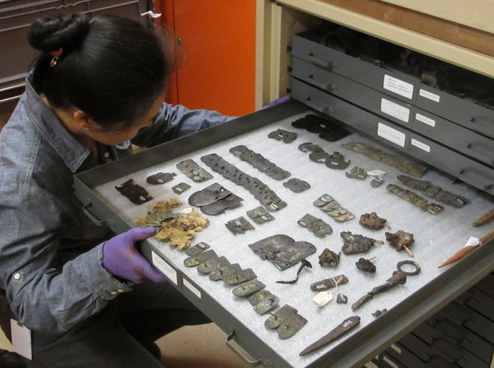 A person wearing purple gloves arranges small metal artifacts on a large flat tray inside a storage drawer.