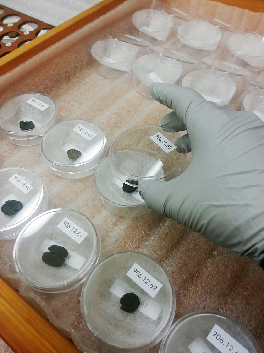 Gloved hand holding a petri dish labeled "ALASKA" containing a dark object, among multiple labeled petri dishes in a tray.