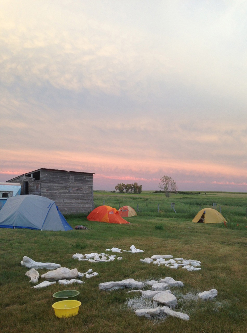 Campsite with tents pitched and fossils packed for shipment in the foreground.