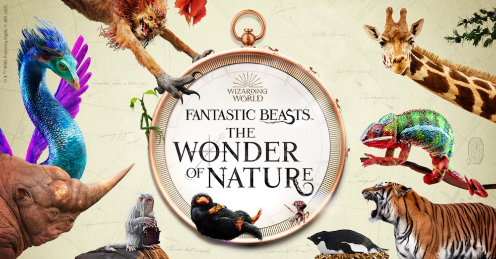 FANTASTIC BEASTS: THE WONDER OF NATURE text surrounded by illustrations of various animals and creatures.