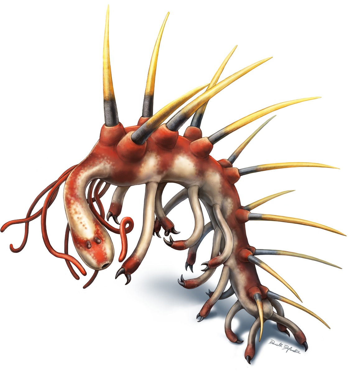 Multisegmented prehistoric sea creature with a spiked, armor-like back and multiple long, sharp spines.