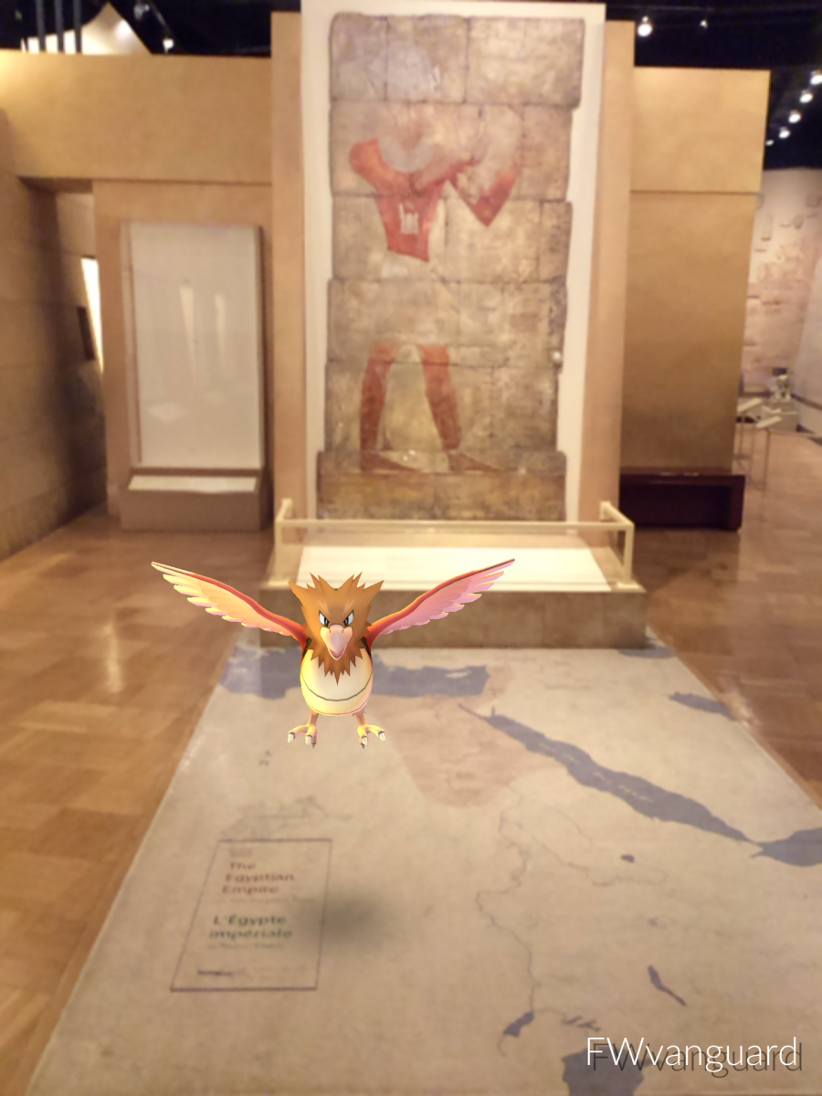 An ancient Egyptian painted wall panel behind a museum display with a wingspan of a Pidgey Pokémon superimposed in front.