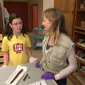 A young girl in a yellow T-shirt with "ROM" and a woman in a beige vest and purple gloves examine fossils on a table.