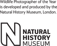 Natural History Museum logo with a large stylized letter N and black text on a white background.