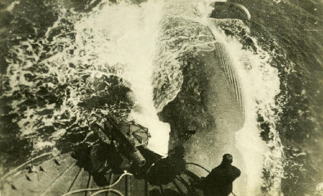 Industrial whaling. Photo Credit: Hvalfangstmuseet Archives