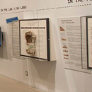See the New Dino Discovered exhibition for more on the Wendiceratops discovery.