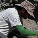 A student digs up bones at the Wendiceratops bonebed quarry. Credit: David Evans