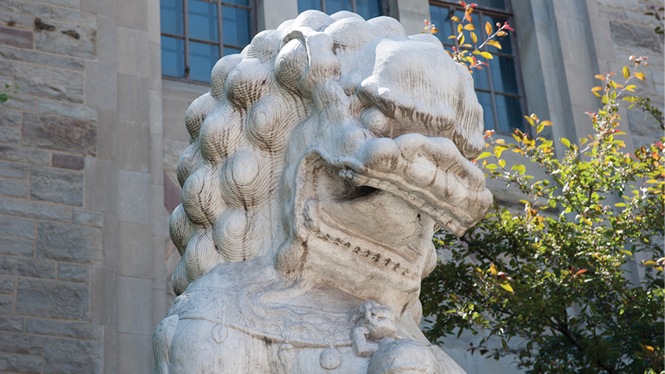 Lion gardien, Lion Fu