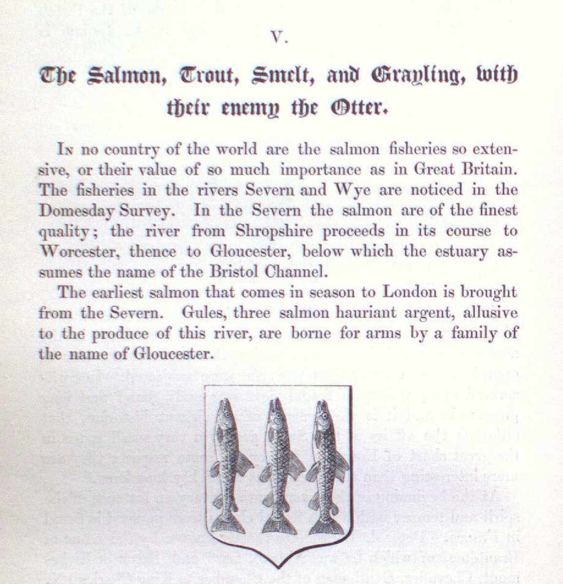The Salmon, Trout, Snail, and Grayling, with their enemy the Otter.