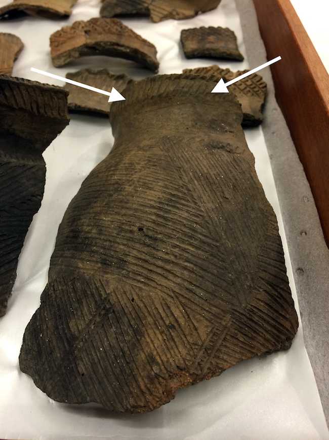 Fragment of a dark pottery vessel with two small projections or lugs near its rim.