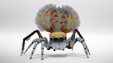 3D digital model of a colorful spider with a gray, furry abdomen featuring orange and teal spots.