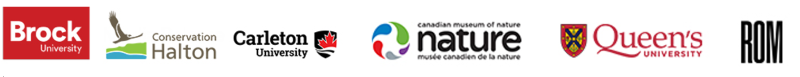 Brock University logo in red text with an arch symbol, Castleton University logo with a green tree, McMaster University logo in dark purple text, nature museum logo showing stylized leaves and branches, Queen’s University logo in red text with a crest emblem, Royal Ontario Museum logo in black text.