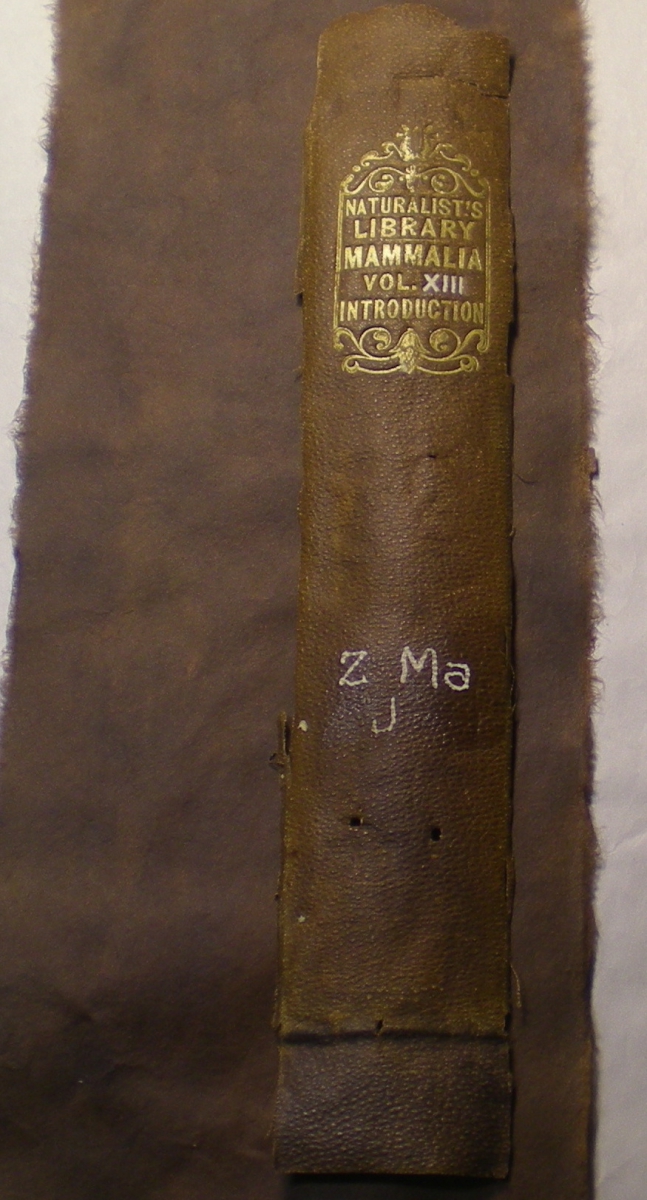 LADIES' ALMANACK AND EMIGRANT'S GUIDE TO CANADA AND THE UNITED STATES, 1863-4