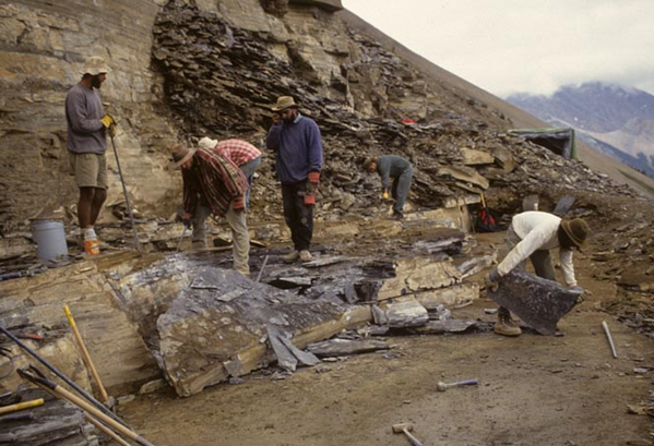 Palaeontologists working onsite in Canada's Rocky mountains.
