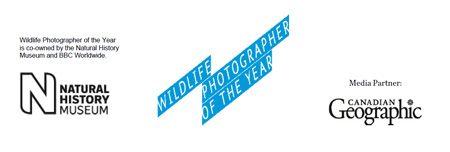 Wildlife Photographer of the Year is owned by the Natural History Museum. Wildlife Photographer of the Year. Media Partner: Canadian Geographic. Natural History Museum logo.