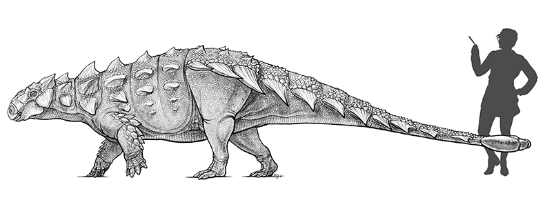 An illustration comparing Zuul's size to that of an adult woman